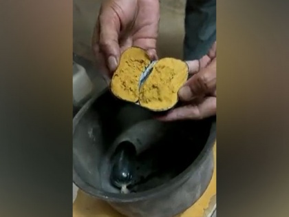 Telangana: Customs seizes gold worth Rs 42 lakh, concealed in man's rectum | Telangana: Customs seizes gold worth Rs 42 lakh, concealed in man's rectum