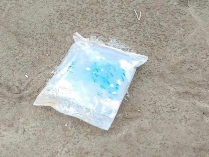BSF recovers suspected drug packet in Gujarat's Kutch | BSF recovers suspected drug packet in Gujarat's Kutch