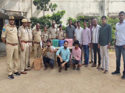 Hyderabad police rescues several exotic animals in Jubilee Hills, pub owner including 7 held | Hyderabad police rescues several exotic animals in Jubilee Hills, pub owner including 7 held