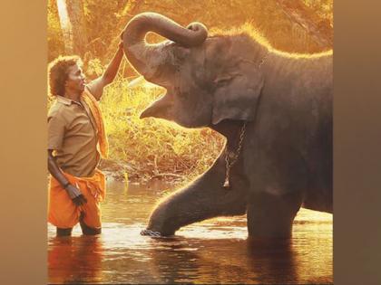 Oscar winning documentary 'Elephant Whisperers' to be screened at Goa Environmental film festival | Oscar winning documentary 'Elephant Whisperers' to be screened at Goa Environmental film festival