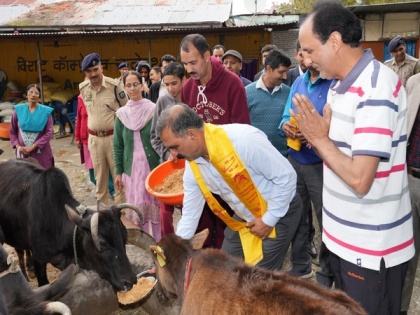 State government is committed to resolving issue of stranded animals: Himachal Pradesh CM | State government is committed to resolving issue of stranded animals: Himachal Pradesh CM