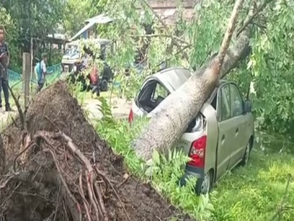 Assam: Severe storm and rain hit Jorhat damaging houses and trees | Assam: Severe storm and rain hit Jorhat damaging houses and trees