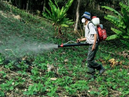 Study identifies pesticides that could influence Parkinson's disease | Study identifies pesticides that could influence Parkinson's disease