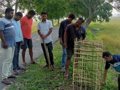 Unique tree plantation competition by Assam BJP MLA, planters to be awarded after a year | Unique tree plantation competition by Assam BJP MLA, planters to be awarded after a year