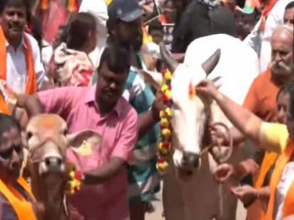 BJP protests with cows against Karnataka Minister's statement | BJP protests with cows against Karnataka Minister's statement