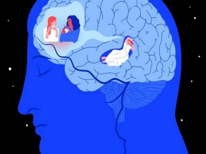 Israeli research reveals brain's mechanism for memory consolidation during sleep | Israeli research reveals brain's mechanism for memory consolidation during sleep