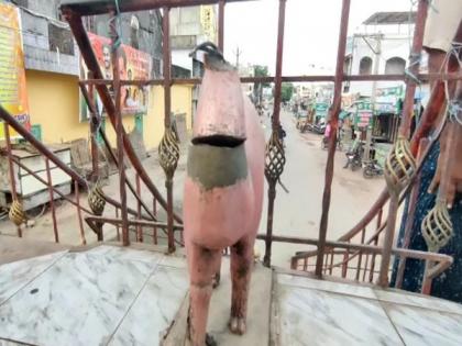 Locals protest after camel statue in front of Hanuman idol vandalised in Andhra's Achampet | Locals protest after camel statue in front of Hanuman idol vandalised in Andhra's Achampet