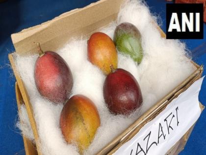West Bengal: World's most expensive mango 'Miyazaki' showcased in Siliguri Mango festival | West Bengal: World's most expensive mango 'Miyazaki' showcased in Siliguri Mango festival
