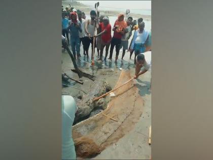 Bihar: Crocodile beaten to death after it kills 14-yr-old in Vaishali, probe on | Bihar: Crocodile beaten to death after it kills 14-yr-old in Vaishali, probe on Bihar: Crocodile beaten to death after it kills 14-yr-old in Vaishali, probe on | Bihar: Crocodile beaten to death after it kills 14-yr-old in Vaishali, probe on