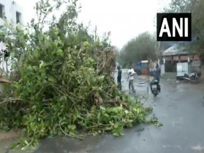 Gujarat: Trees uprooted, hoardings fall in Dwarka as cyclone Biparjoy makes landfall | Gujarat: Trees uprooted, hoardings fall in Dwarka as cyclone Biparjoy makes landfall