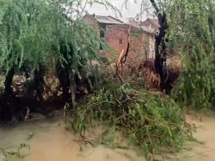 Farmers in Kutch's Bhuj suffer huge losses due to cyclone Biparjoy | Farmers in Kutch's Bhuj suffer huge losses due to cyclone Biparjoy
