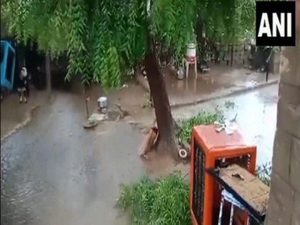 Cyclone Biparjoy: Heavy rains cause waterlogging in parts of Rajasthan | Cyclone Biparjoy: Heavy rains cause waterlogging in parts of Rajasthan