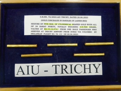 Tamil Nadu: AIU seizes gold worth Rs 19.12 at Trichy airport, one held | Tamil Nadu: AIU seizes gold worth Rs 19.12 at Trichy airport, one held