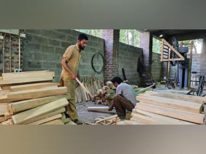 From local trade to global phenomenon: Kashmir willow bats make grand slam in International Cricket | From local trade to global phenomenon: Kashmir willow bats make grand slam in International Cricket