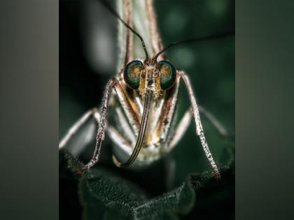 Malaria treatment made possible by cancer medication: Study | Malaria treatment made possible by cancer medication: Study Malaria treatment made possible by cancer medication: Study | Malaria treatment made possible by cancer medication: Study