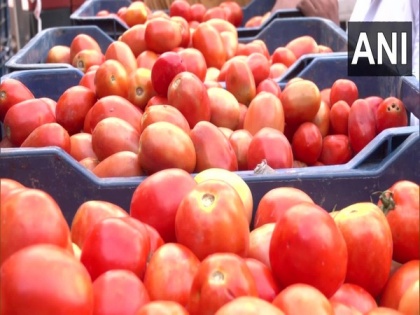 Tamil Nadu: Tomatoes to be sold at Rs.68 per kg in Farm Fresh Outlets to control prices | Tamil Nadu: Tomatoes to be sold at Rs.68 per kg in Farm Fresh Outlets to control prices