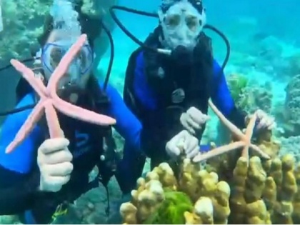 Thailand: Selfie with starfish lands Chinese tourists in jail | Thailand: Selfie with starfish lands Chinese tourists in jail