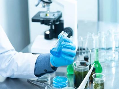 Study finds insights into transplant rejection, drug development targets | Study finds insights into transplant rejection, drug development targets Study finds insights into transplant rejection, drug development targets | Study finds insights into transplant rejection, drug development targets