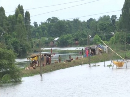Assam flood: Situation improves, over 20,000 people still affected | Assam flood: Situation improves, over 20,000 people still affected