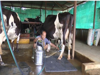 India's Milky Way: From deficit to surplus, India's spectacular milk production journey | India's Milky Way: From deficit to surplus, India's spectacular milk production journey