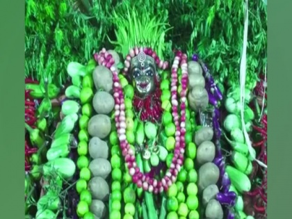 Andhra Pradesh: Three-day Shakambari Festival begins in Vijayawada | Andhra Pradesh: Three-day Shakambari Festival begins in Vijayawada