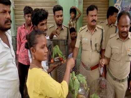 TN forest officials confiscate more than 100 rose-ringed parrots | TN forest officials confiscate more than 100 rose-ringed parrots