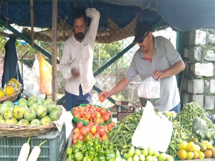 Uttarakhand: Tomatoes now going at Rs 250 per kg in Gangotri Dham, Rs 180 to 200 per kg in Uttarkashi | Uttarakhand: Tomatoes now going at Rs 250 per kg in Gangotri Dham, Rs 180 to 200 per kg in Uttarkashi