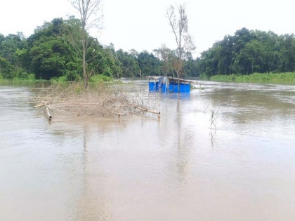 Assam flood situation remains grim; nearly 35,000 people affected | Assam flood situation remains grim; nearly 35,000 people affected