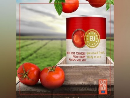 Taste the Difference: Red Gold Tomatoes from Europe | Taste the Difference: Red Gold Tomatoes from Europe