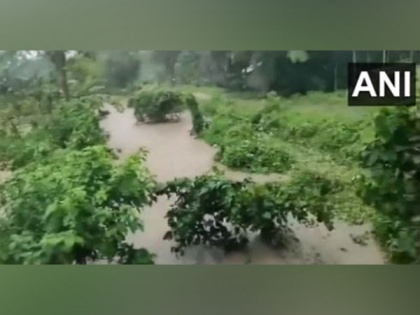 Assam: Chirang, Bongaigaon flooded as Brahmaputra in spate | Assam: Chirang, Bongaigaon flooded as Brahmaputra in spate