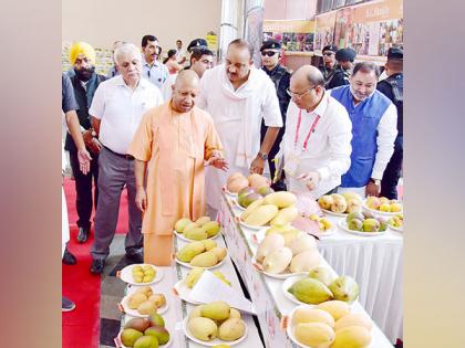 UP mangoes market must be expanded globally: CM Yogi | UP mangoes market must be expanded globally: CM Yogi UP mangoes market must be expanded globally: CM Yogi | UP mangoes market must be expanded globally: CM Yogi
