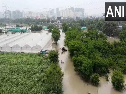 Green Beauty Farms in Noida reel under flood water as Yamuna continues to flow above danger mark | Green Beauty Farms in Noida reel under flood water as Yamuna continues to flow above danger mark
