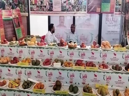 Uttar Pradesh Mango Festival attracts many visitors | Uttar Pradesh Mango Festival attracts many visitors Uttar Pradesh Mango Festival attracts many visitors | Uttar Pradesh Mango Festival attracts many visitors