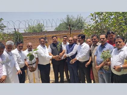 Plant trees to save Delhi, says Ghanshyam Gupta Zaveri | Plant trees to save Delhi, says Ghanshyam Gupta Zaveri Plant trees to save Delhi, says Ghanshyam Gupta Zaveri | Plant trees to save Delhi, says Ghanshyam Gupta Zaveri