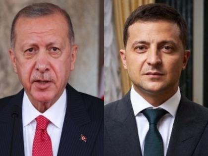 Erdogan discusses extension of Black Sea grain deal with Zelenskyy | Erdogan discusses extension of Black Sea grain deal with Zelenskyy