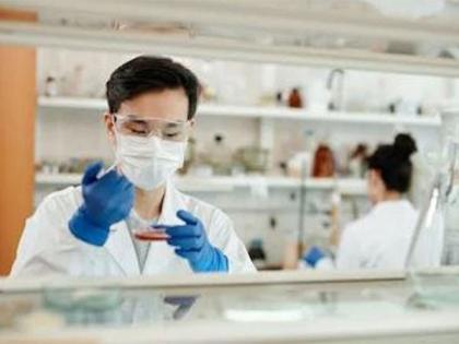 Researchers use extraembryonic tissue to produce entities that resemble human embryos | Researchers use extraembryonic tissue to produce entities that resemble human embryos Researchers use extraembryonic tissue to produce entities that resemble human embryos | Researchers use extraembryonic tissue to produce entities that resemble human embryos