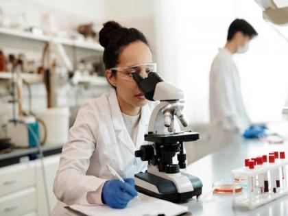 Research advances understanding of how bacteria benefit plant growth | Research advances understanding of how bacteria benefit plant growth Research advances understanding of how bacteria benefit plant growth | Research advances understanding of how bacteria benefit plant growth