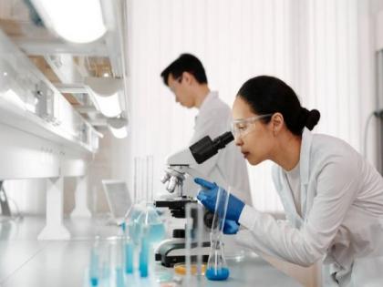 Can probiotics help slow age-related cognitive decline? | Can probiotics help slow age-related cognitive decline? Can probiotics help slow age-related cognitive decline? | Can probiotics help slow age-related cognitive decline?