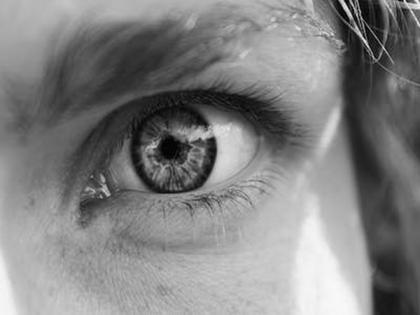 Study discovers immune cells patrolling human eye | Study discovers immune cells patrolling human eye