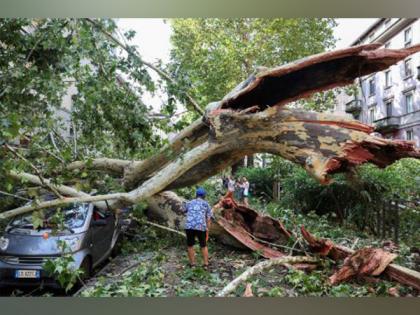 At least six dead as Italy faces violent storms, wildfires | At least six dead as Italy faces violent storms, wildfires At least six dead as Italy faces violent storms, wildfires | At least six dead as Italy faces violent storms, wildfires