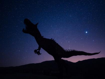 Newly described fossil had armoured plates above its backbone | Newly described fossil had armoured plates above its backbone