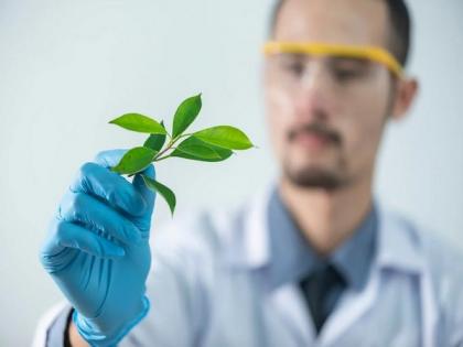 Research improves understanding of how bacteria aid plant growth | Research improves understanding of how bacteria aid plant growth Research improves understanding of how bacteria aid plant growth | Research improves understanding of how bacteria aid plant growth