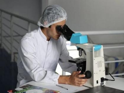 Gene editing improves grain quality, lowers heat stress in rice: Study | Gene editing improves grain quality, lowers heat stress in rice: Study Gene editing improves grain quality, lowers heat stress in rice: Study | Gene editing improves grain quality, lowers heat stress in rice: Study