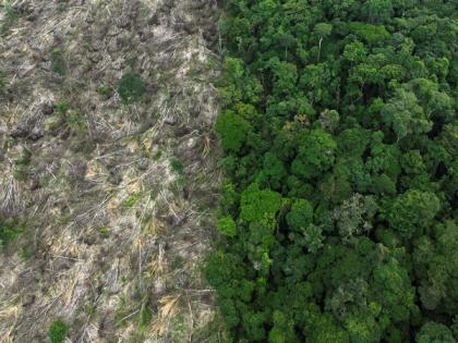Brazil: Amazon deforestation drops six-year low | Brazil: Amazon deforestation drops six-year low Brazil: Amazon deforestation drops six-year low | Brazil: Amazon deforestation drops six-year low