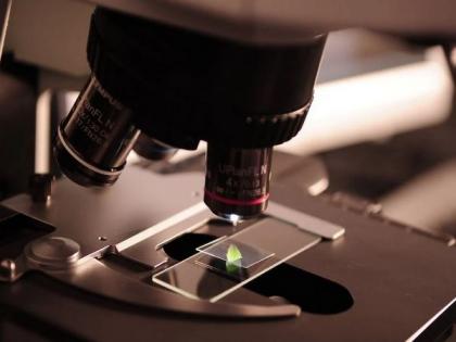 Researchers find new method to combat fungi | Researchers find new method to combat fungi