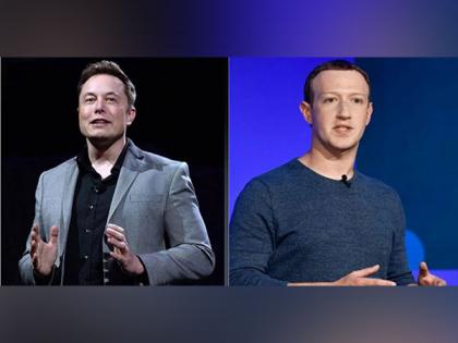 Elon Musk challenges Mark Zuckerberg again says 'fight' will be live streamed | Elon Musk challenges Mark Zuckerberg again says 'fight' will be live streamed Elon Musk challenges Mark Zuckerberg again says 'fight' will be live streamed | Elon Musk challenges Mark Zuckerberg again says 'fight' will be live streamed