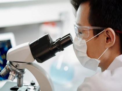 Study sheds light on immunotherapy treatment for ALS | Study sheds light on immunotherapy treatment for ALS Study sheds light on immunotherapy treatment for ALS | Study sheds light on immunotherapy treatment for ALS