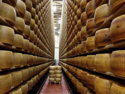 Italian man dies after being crushed by falling cheese wheels | Italian man dies after being crushed by falling cheese wheels Italian man dies after being crushed by falling cheese wheels | Italian man dies after being crushed by falling cheese wheels