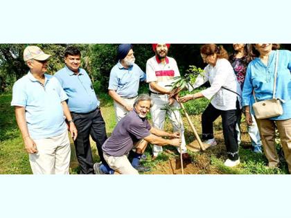 One thousand Amaltas trees planted in Buddha Jayanti Park | One thousand Amaltas trees planted in Buddha Jayanti Park One thousand Amaltas trees planted in Buddha Jayanti Park | One thousand Amaltas trees planted in Buddha Jayanti Park