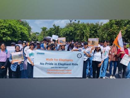 End Elephant Rides, urges World Animal Protection during Citizens' Walk to Rajasthan Chief Minister on occasion of World Elephant Day | End Elephant Rides, urges World Animal Protection during Citizens' Walk to Rajasthan Chief Minister on occasion of World Elephant Day End Elephant Rides, urges World Animal Protection during Citizens' Walk to Rajasthan Chief Minister on occasion of World Elephant Day | End Elephant Rides, urges World Animal Protection during Citizens' Walk to Rajasthan Chief Minister on occasion of World Elephant Day